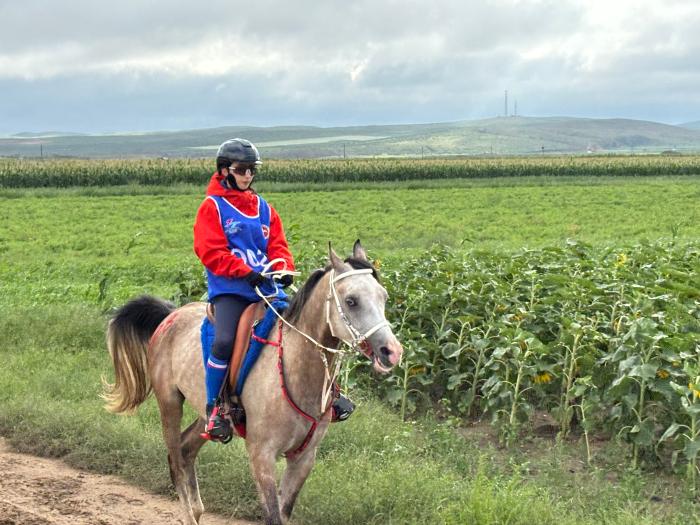 套马沟全国马术耐力锦标